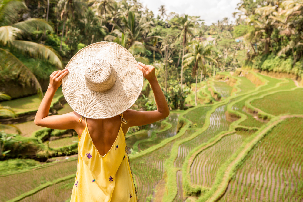 reiszucht auf bali